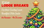 Celebrate the Holidays with Festive Lodge Breaks at Beachside Holiday Park