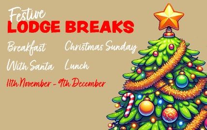 Festive Lodge Breaks